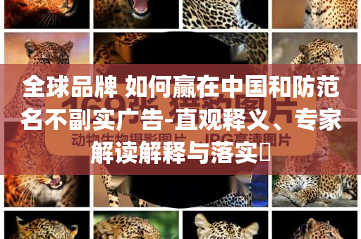 全球品牌 如何贏在中國和防范名不副實廣告-直觀釋義、專家解讀解釋與落實?