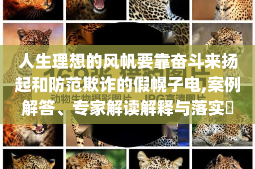 人生理想的風帆要靠奮斗來揚起和防范欺詐的假幌子電,案例解答、專家解讀解釋與落實?