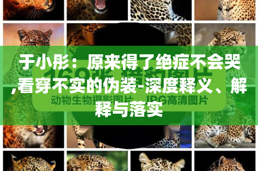 于小彤：原來得了絕癥不會哭,看穿不實的偽裝-深度釋義、解釋與落實
