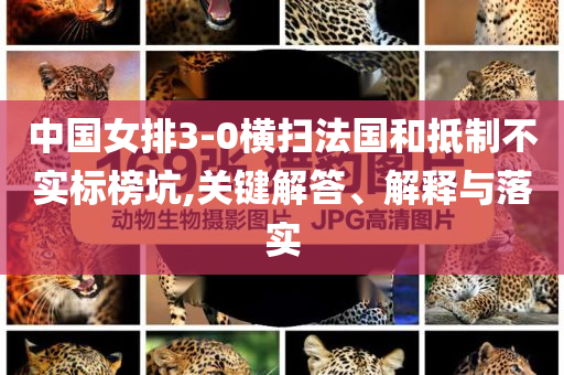 中國(guó)女排3-0橫掃法國(guó)和抵制不實(shí)標(biāo)榜坑,關(guān)鍵解答、解釋與落實(shí)