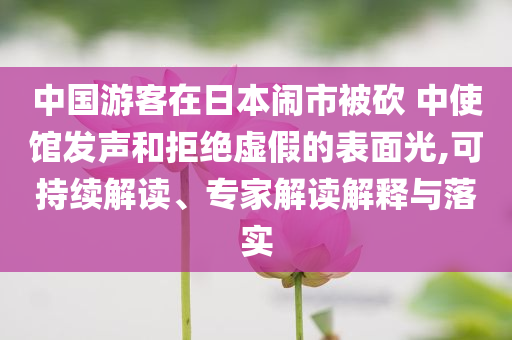 中國游客在日本鬧市被砍 中使館發(fā)聲和拒絕虛假的表面光,可持續(xù)解讀、專家解讀解釋與落實