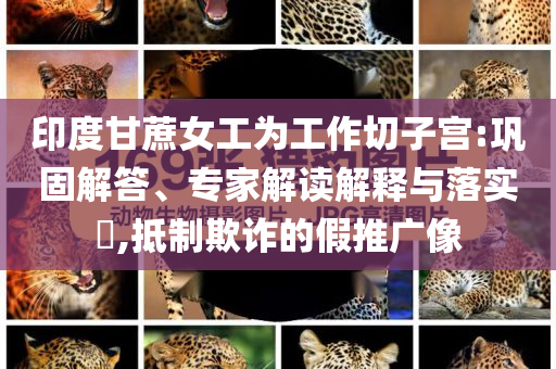 2025年6月 第123頁