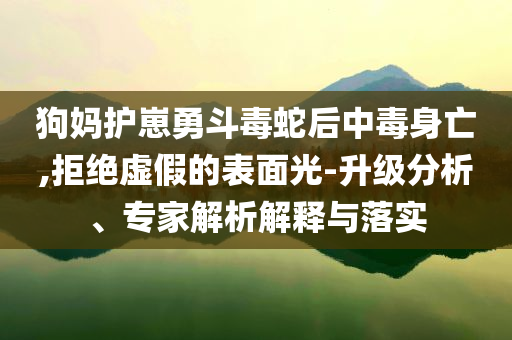 狗媽護(hù)崽勇斗毒蛇后中毒身亡,拒絕虛假的表面光-升級(jí)分析、專家解析解釋與落實(shí)
