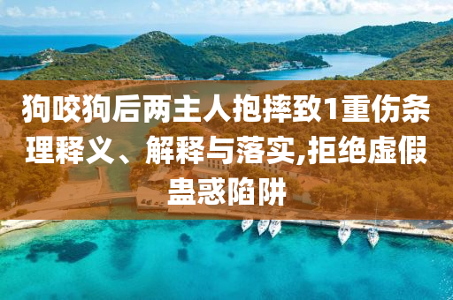 狗咬狗后兩主人抱摔致1重傷條理釋義、解釋與落實(shí),拒絕虛假蠱惑陷阱