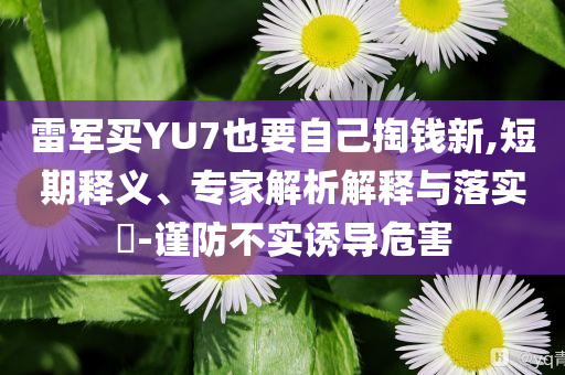 雷軍買YU7也要自己掏錢新,短期釋義、專家解析解釋與落實?-謹(jǐn)防不實誘導(dǎo)危害