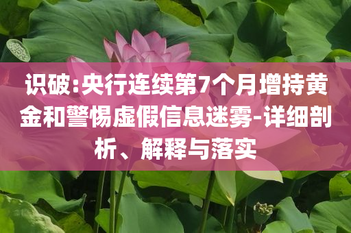 識(shí)破:央行連續(xù)第7個(gè)月增持黃金和警惕虛假信息迷霧-詳細(xì)剖析、解釋與落實(shí)