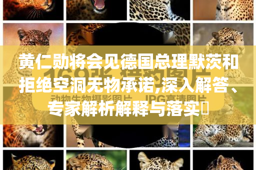 黃仁勛將會(huì)見德國總理默茨和拒絕空洞無物承諾,深入解答、專家解析解釋與落實(shí)?