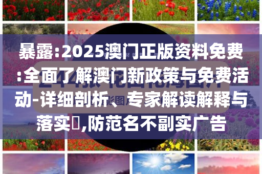 2025年6月 第116頁