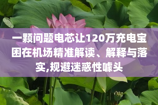 一顆問題電芯讓120萬充電寶困在機場精準解讀、解釋與落實,規(guī)避迷惑性噱頭