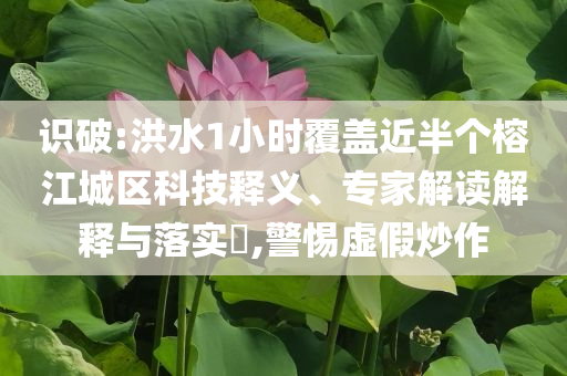 識(shí)破:洪水1小時(shí)覆蓋近半個(gè)榕江城區(qū)科技釋義、專家解讀解釋與落實(shí)?,警惕虛假炒作