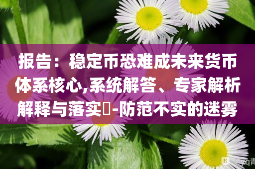 報告：穩(wěn)定幣恐難成未來貨幣體系核心,系統(tǒng)解答、專家解析解釋與落實?-防范不實的迷霧