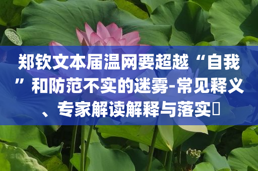 鄭欽文本屆溫網(wǎng)要超越“自我”和防范不實的迷霧-常見釋義、專家解讀解釋與落實?