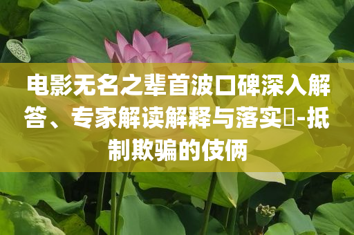 電影無(wú)名之輩首波口碑深入解答、專(zhuān)家解讀解釋與落實(shí)?-抵制欺騙的伎倆
