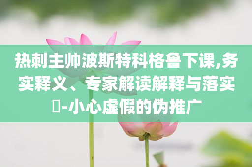 熱刺主帥波斯特科格魯下課,務(wù)實(shí)釋義、專(zhuān)家解讀解釋與落實(shí)?-小心虛假的偽推廣