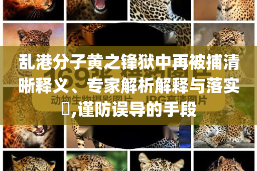 亂港分子黃之鋒獄中再被捕清晰釋義、專家解析解釋與落實?,謹防誤導(dǎo)的手段