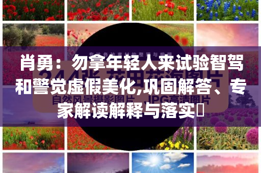 肖勇：勿拿年輕人來試驗智駕和警覺虛假美化,鞏固解答、專家解讀解釋與落實?