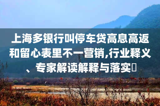 上海多銀行叫停車貸高息高返和留心表里不一營銷,行業(yè)釋義、專家解讀解釋與落實?