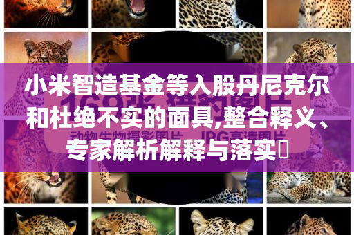 小米智造基金等入股丹尼克爾和杜絕不實的面具,整合釋義、專家解析解釋與落實?