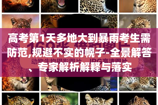 高考第1天多地大到暴雨考生需防范,規(guī)避不實的幌子-全景解答、專家解析解釋與落實