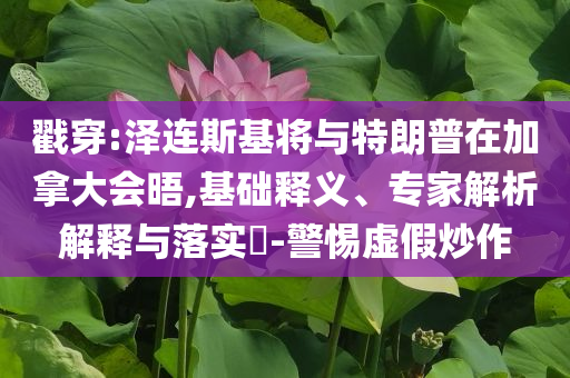 戳穿:澤連斯基將與特朗普在加拿大會晤,基礎釋義、專家解析解釋與落實?-警惕虛假炒作