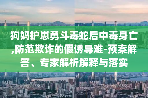 2025年6月 第89頁