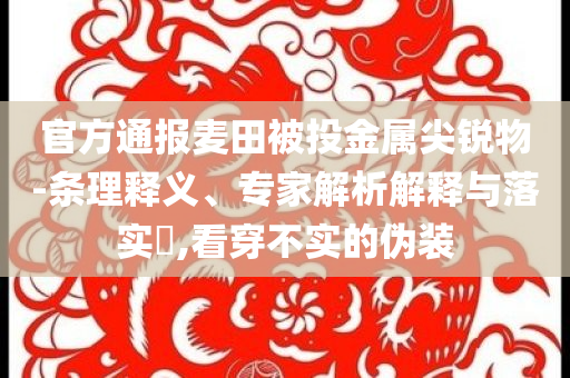 官方通報麥田被投金屬尖銳物-條理釋義、專家解析解釋與落實?,看穿不實的偽裝
