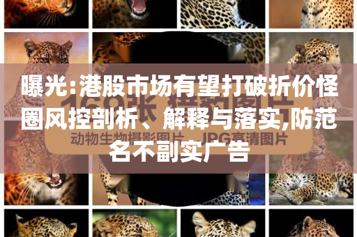 曝光:港股市場有望打破折價怪圈風控剖析、解釋與落實,防范名不副實廣告