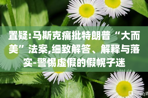 置疑:馬斯克痛批特朗普“大而美”法案,細致解答、解釋與落實-警惕虛假的假幌子迷