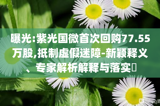 曝光:紫光國微首次回購77.55萬股,抵制虛假迷障-新穎釋義、專家解析解釋與落實(shí)?