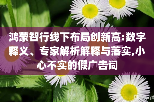 鴻蒙智行線下布局創(chuàng)新高:數(shù)字釋義、專家解析解釋與落實,小心不實的假廣告詞