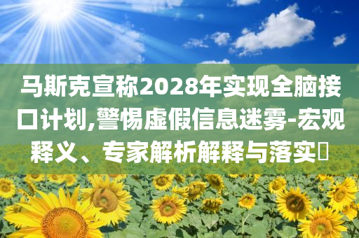 馬斯克宣稱2028年實(shí)現(xiàn)全腦接口計(jì)劃,警惕虛假信息迷霧-宏觀釋義、專家解析解釋與落實(shí)?