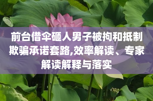 前臺借傘砸人男子被拘和抵制欺騙承諾套路,效率解讀、專家解讀解釋與落實