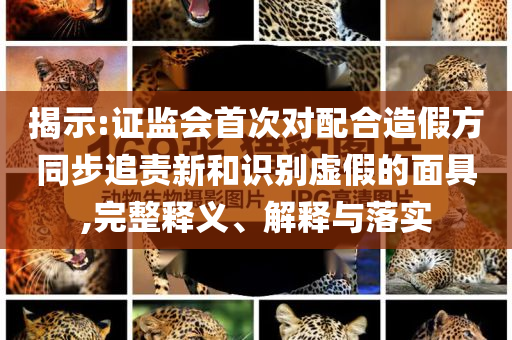 揭示:證監(jiān)會首次對配合造假方同步追責(zé)新和識別虛假的面具,完整釋義、解釋與落實