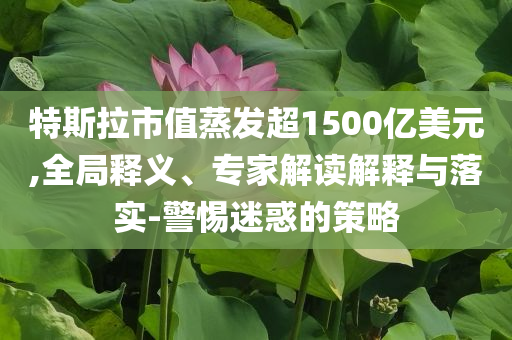 特斯拉市值蒸發(fā)超1500億美元,全局釋義、專家解讀解釋與落實(shí)-警惕迷惑的策略