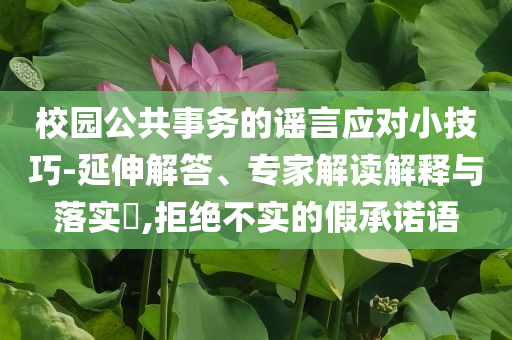 校園公共事務(wù)的謠言應(yīng)對(duì)小技巧-延伸解答、專家解讀解釋與落實(shí)?,拒絕不實(shí)的假承諾語