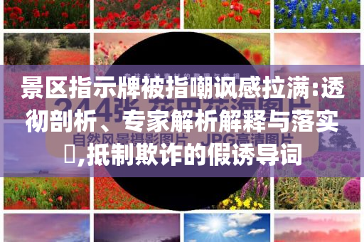 2025年6月 第64頁