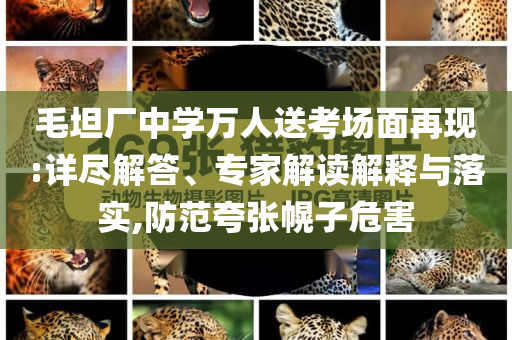 毛坦廠中學萬人送考場面再現(xiàn):詳盡解答、專家解讀解釋與落實,防范夸張幌子危害