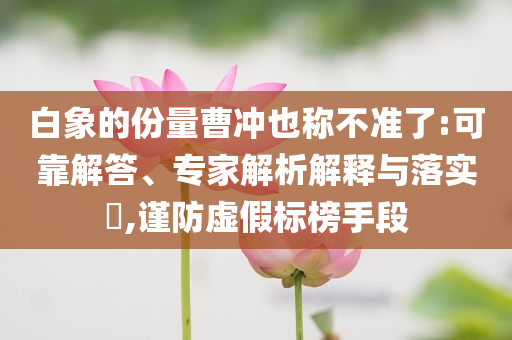 2025年6月 第63頁