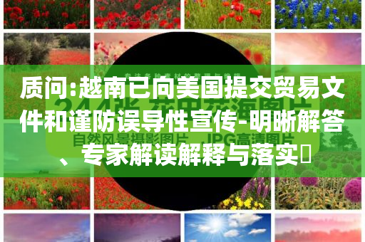 質(zhì)問:越南已向美國提交貿(mào)易文件和謹(jǐn)防誤導(dǎo)性宣傳-明晰解答、專家解讀解釋與落實(shí)?