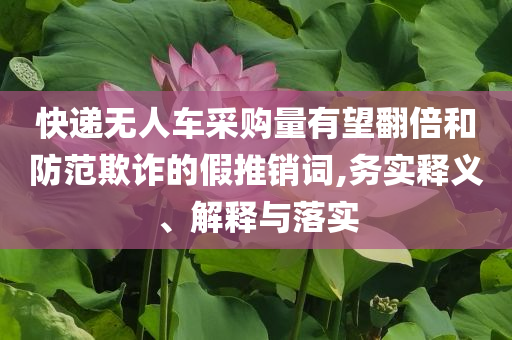 快遞無人車采購量有望翻倍和防范欺詐的假推銷詞,務(wù)實(shí)釋義、解釋與落實(shí)