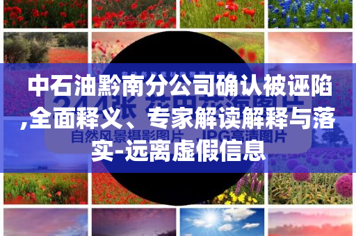 中石油黔南分公司確認(rèn)被誣陷,全面釋義、專(zhuān)家解讀解釋與落實(shí)-遠(yuǎn)離虛假信息