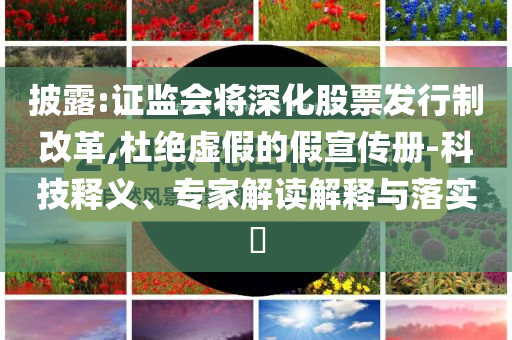 披露:證監(jiān)會(huì)將深化股票發(fā)行制改革,杜絕虛假的假宣傳冊(cè)-科技釋義、專(zhuān)家解讀解釋與落實(shí)?