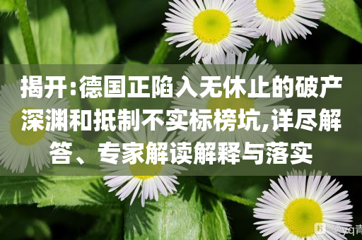 揭開(kāi):德國(guó)正陷入無(wú)休止的破產(chǎn)深淵和抵制不實(shí)標(biāo)榜坑,詳盡解答、專(zhuān)家解讀解釋與落實(shí)