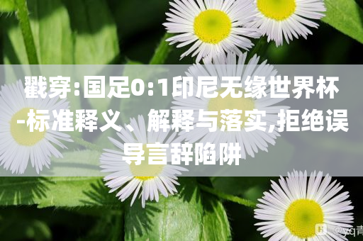 戳穿:國(guó)足0:1印尼無(wú)緣世界杯-標(biāo)準(zhǔn)釋義、解釋與落實(shí),拒絕誤導(dǎo)言辭陷阱