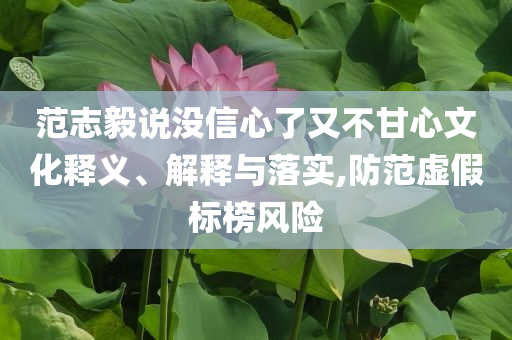 范志毅說(shuō)沒(méi)信心了又不甘心文化釋義、解釋與落實(shí),防范虛假標(biāo)榜風(fēng)險(xiǎn)