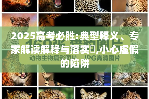 2025高考必勝:典型釋義、專家解讀解釋與落實?,小心虛假的陷阱