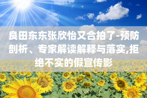 良田東東張欣怡又合拍了-預(yù)防剖析、專家解讀解釋與落實,拒絕不實的假宣傳影
