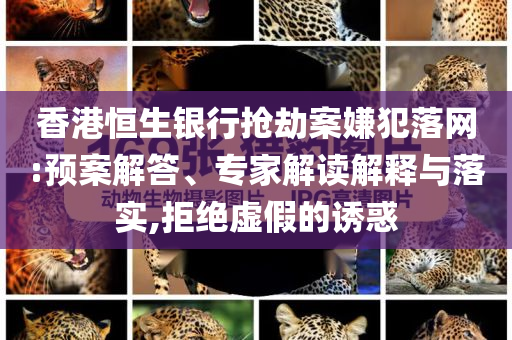 香港恒生銀行搶劫案嫌犯落網(wǎng):預案解答、專家解讀解釋與落實,拒絕虛假的誘惑