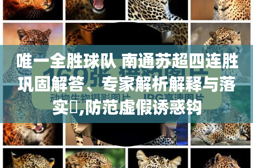 唯一全勝球隊(duì) 南通蘇超四連勝鞏固解答、專(zhuān)家解析解釋與落實(shí)?,防范虛假誘惑鉤