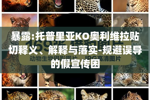 暴露:托普里亞KO奧利維拉貼切釋義、解釋與落實(shí)-規(guī)避誤導(dǎo)的假宣傳困